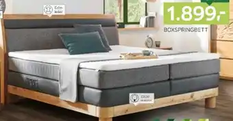 XXXLutz Valnatura Boxspringbett Angebot