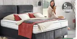 XXXLutz Dieter Knoll Boxspringbett Angebot