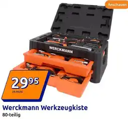 Action Werckmann Werkzeugkiste Angebot
