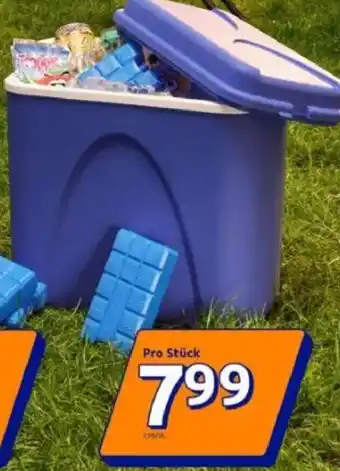 Action Kühlbox Angebot