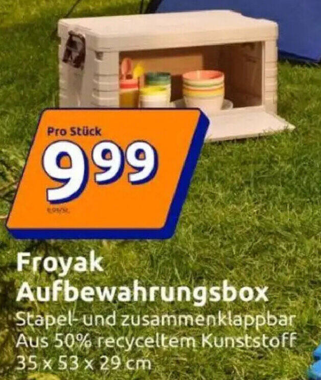 Froyak Aufbewahrungsbox Angebot bei Action