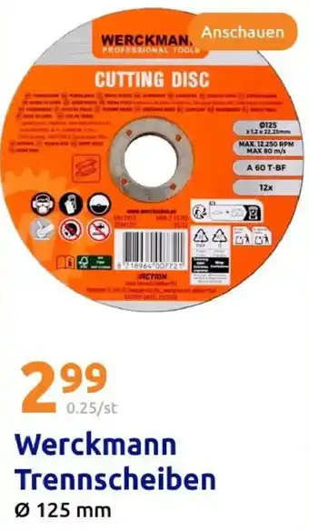 Action Werckmann Trennscheiben Angebot