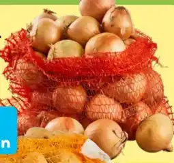 Aldi Nord Zwiebeln Angebot