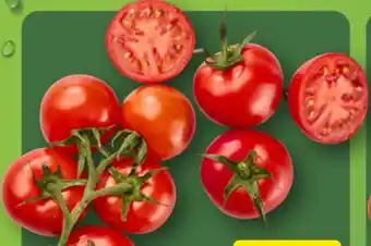 Aldi Nord Mini-Rispentomaten Angebot