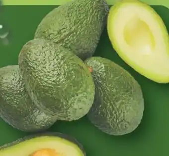 Aldi Nord Avocados Angebot