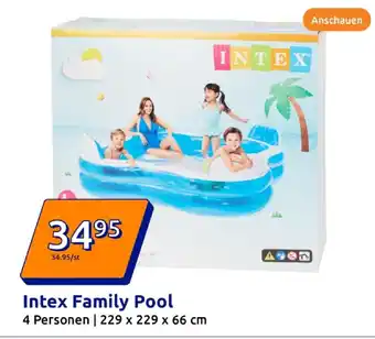 Action Intex family pool Angebot