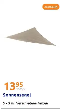Action Sonnensegel Angebot
