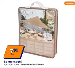 Action Sun shade sonnensegel Angebot