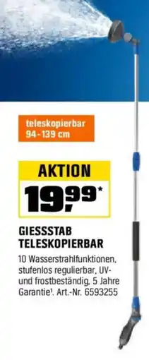 OBI LUX-TOOLS GIESSSTAB TELESKOPIERBAR Angebot