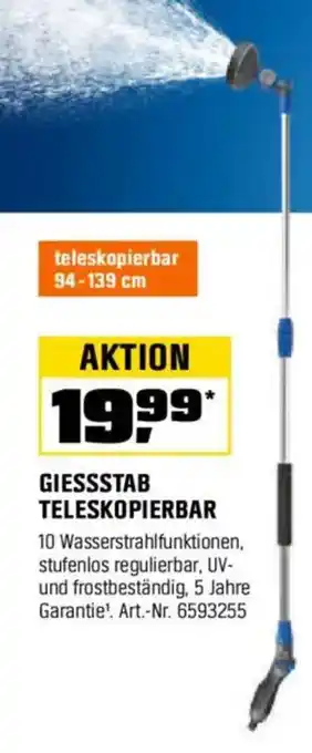 OBI LUX-TOOLS GIESSSTAB TELESKOPIERBAR Angebot