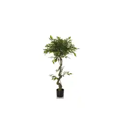 Netto Marken-Discount hjh OFFICE Kunstpflanze FICUS I Kunststoff, Stoff Angebot