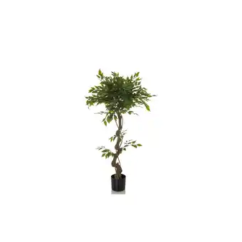 Netto Marken-Discount hjh OFFICE Kunstpflanze FICUS I Kunststoff, Stoff Angebot