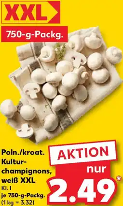 Kaufland Poln./kroat. Kulturchampignons, weiß XXL Angebot