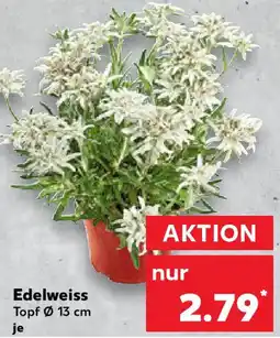 Kaufland Edelweiss Angebot
