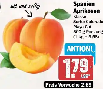 AEZ Spanien Aprikosen Angebot