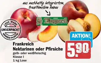 AEZ Frankreich Nektarinen oder Pfirsiche Angebot