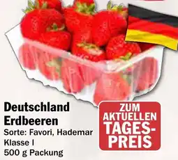 AEZ Deutschland Erdbeeren Angebot