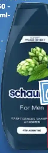 Kaufland Schwarzkopf Schauma For Men Shampoo Angebot