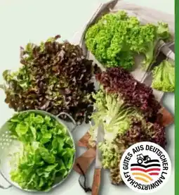 Kaufland Kopfsalat Angebot