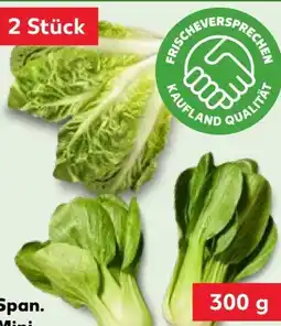 Kaufland Mini-Romanasalat Angebot