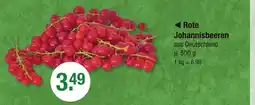 V Markt Rote johannisbeeren Angebot