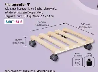 V Markt Pflanzenroller Angebot