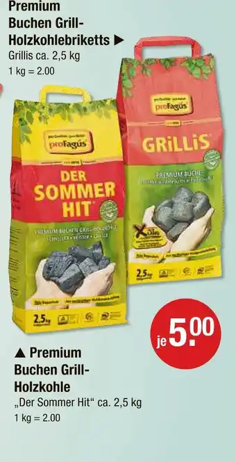 V Markt Profagus grillis Angebot