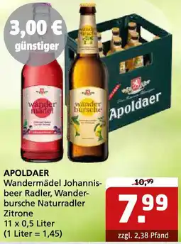 Getränke Quelle APOLDAER Wandermädel Johannisbeer Angebot