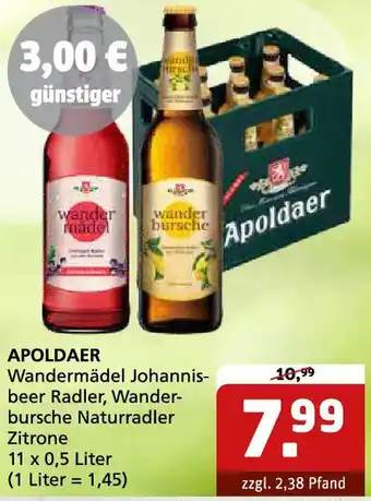 Getränke Quelle APOLDAER Wandermädel Johannisbeer Angebot