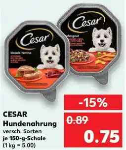 Kaufland CESAR Hundenahrung Angebot