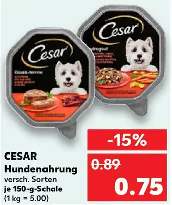 Kaufland CESAR Hundenahrung Angebot