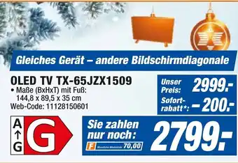 expert Octomedia OLED TV TX-65JZX 1509 Angebot