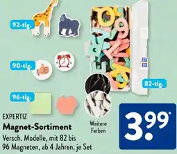 Aldi Süd EXPERTIZ Magnet-Sortiment Angebot
