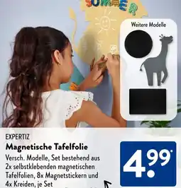Aldi Süd EXPERTIZ Magnetische Tafelfolie Angebot