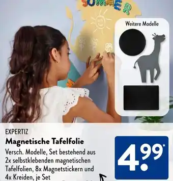 Aldi Süd EXPERTIZ Magnetische Tafelfolie Angebot