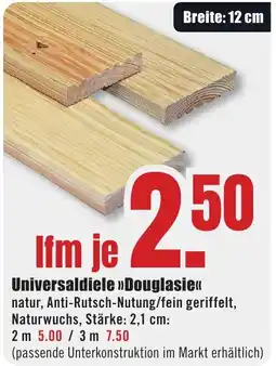 B1 Discount Baumarkt Universaldiele >>Douglasie<< Angebot