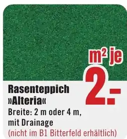 B1 Discount Baumarkt Rasenteppich >>Alteria<< Angebot