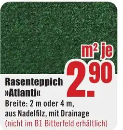 B1 Discount Baumarkt Rasenteppich >>Atlanti«< Angebot