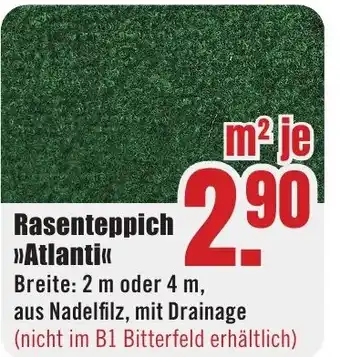 B1 Discount Baumarkt Rasenteppich >>Atlanti«< Angebot