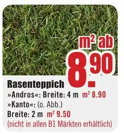 B1 Discount Baumarkt Rasenteppich Angebot