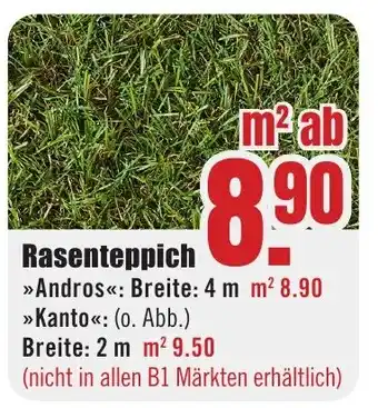 B1 Discount Baumarkt Rasenteppich Angebot