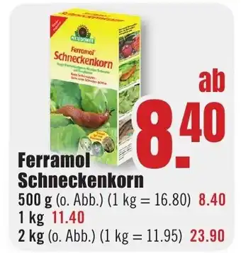 B1 Discount Baumarkt Ferramol Schneckenkorn Angebot