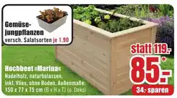 B1 Discount Baumarkt Hochbeet »Marina<< Angebot