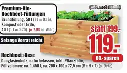 B1 Discount Baumarkt Hochbeet »>Bea<< Angebot