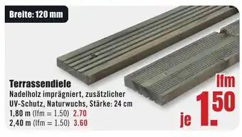B1 Discount Baumarkt Terrassendiele Angebot