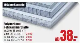 B1 Discount Baumarkt Polycarbonat- Hohlkammerplatte ca. 250 x 98 cm Angebot