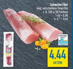diska Schweine Filet Angebot