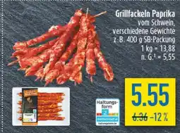 diska Grillfackeln Paprika Angebot