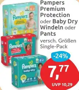 Budni Pampers Premium Protection oder Baby Dry Windeln oder Pants Angebot