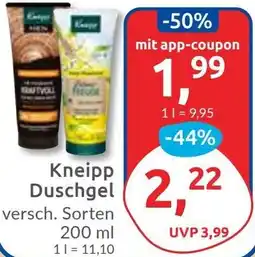 Budni Kneipp Duschgel Angebot